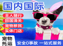 揭阳空运代理国际宠物托运 【国